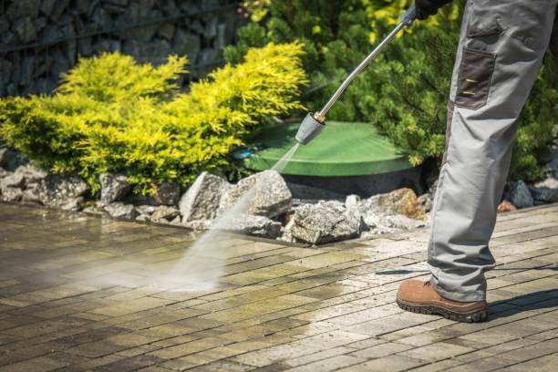 Best Boat and Dock Cleaning  in Stapleton, AL