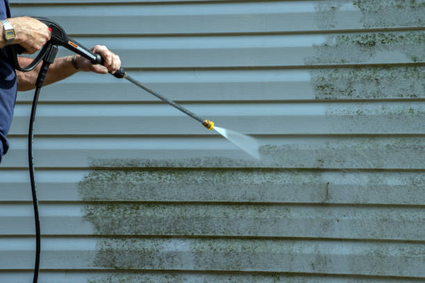 Best Building Exterior Washing  in Stapleton, AL